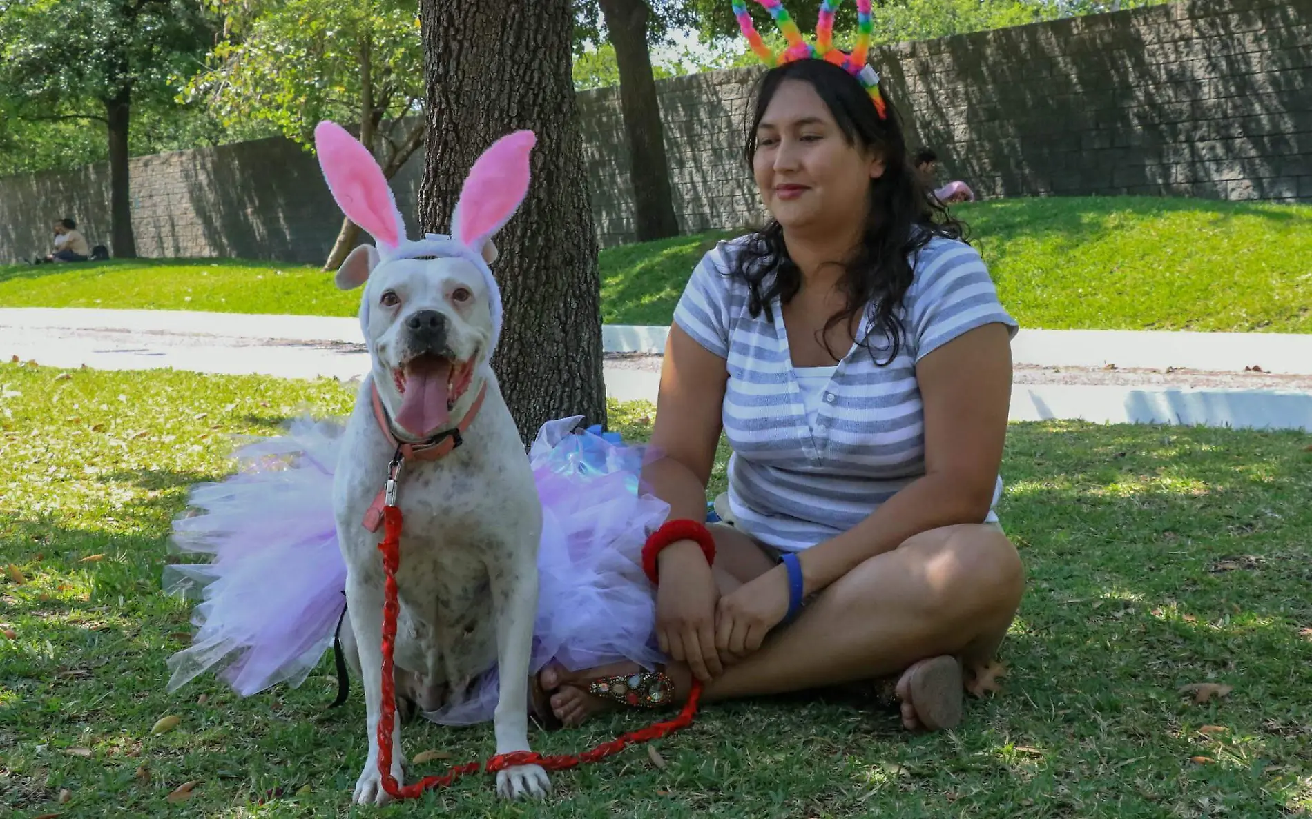 Celebran la primavera con participación de perros con disfraces en zoológico de Tamatán